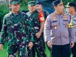 Panglima TNI dan Kapolri Akan Panen Pisang Cavendish di Mare Bone