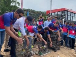 Pelepasliaran Penyu dan Burung Maleo di Tolitoli, Wujud Kepedulian Lingkungan Pertamina Sulawesi