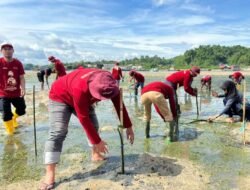 Wujudkan Ekosistem Pesisir, Pertamina Sulawesi Tanam 1.000 Mangrove di Kendari