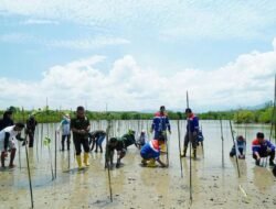 Pertamina Sulawesi Tanam 1.000 Bibit Mangrove di Cagar Alam Panua