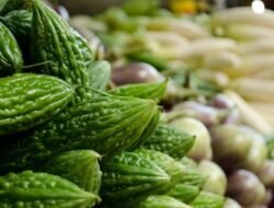 Pare, Sayuran Pahit dengan Segudang Manfaat Kesehatan