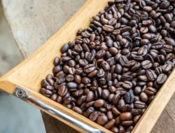 Sinjai Bidik Indikasi Geografis Kopi Arabika, Perluas Pasar hingga 2035