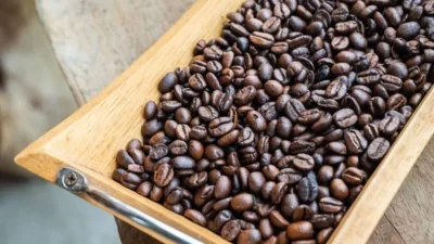 Sinjai Bidik Indikasi Geografis Kopi Arabika, Perluas Pasar hingga 2035