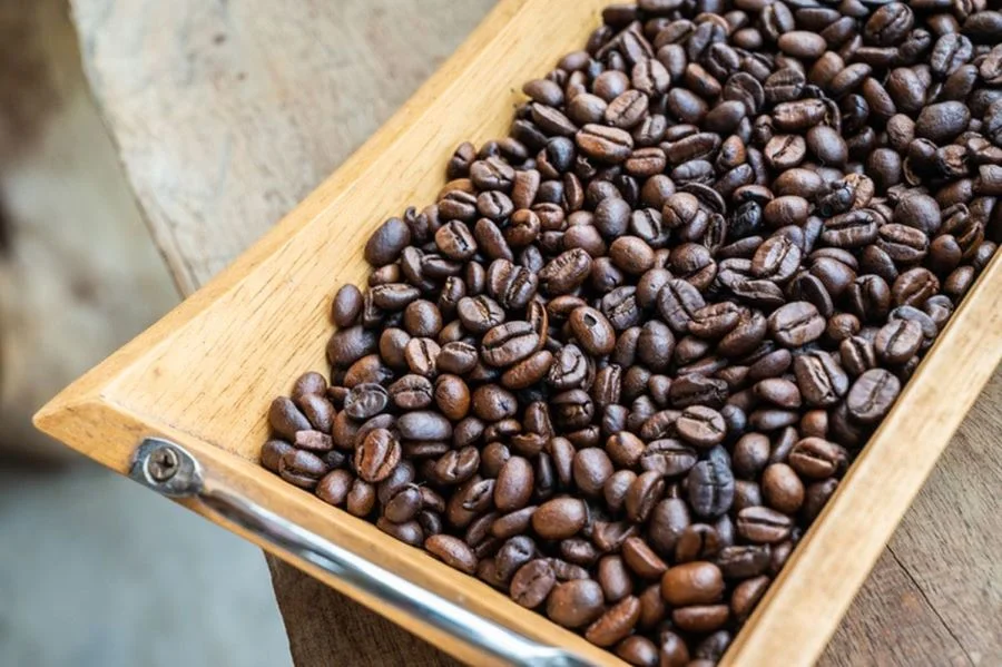 Sinjai Bidik Indikasi Geografis Kopi Arabika, Perluas Pasar hingga 2035