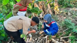 Pertamina Patra Niaga Regional Sulawesi dan UPT Kebun Raya Pucak menelusuri kekayaan flora Sulawesi di Kabupaten Bone (Dok: Ist)