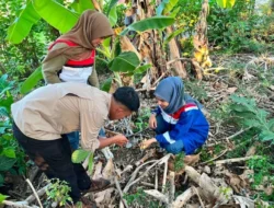 Pertamina Patra Niaga Regional Sulawesi dan UPT Kebun Raya Pucak Eksplorasi Flora di Bone